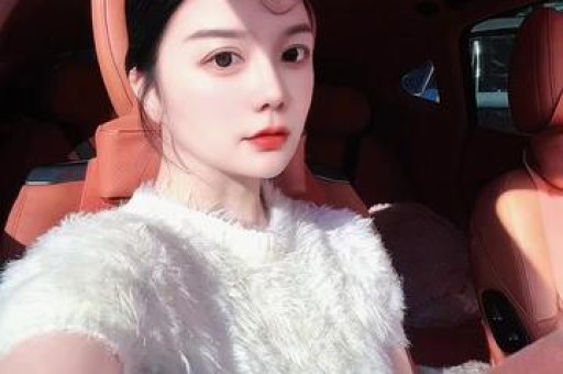 重磅爆料！美网红收10万美金私费背书斯泰尔藏匿款项遭严查打脸竞选黑幕